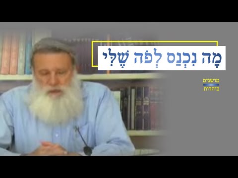 כשרות  - המשמעות של מה שאני מכניס לפה שלי [מושגים ביהדות תשע"ו] | הרב קלנר