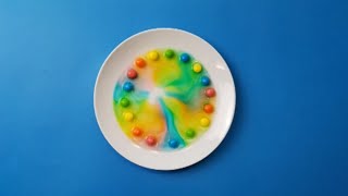 Crazy Colourful Science Experiment! Rainbow Skittles! Net Worth
