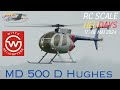RC TURBINE MD500 WITTE HELICOPTERS (RC Scale Helicopter Show 2024)