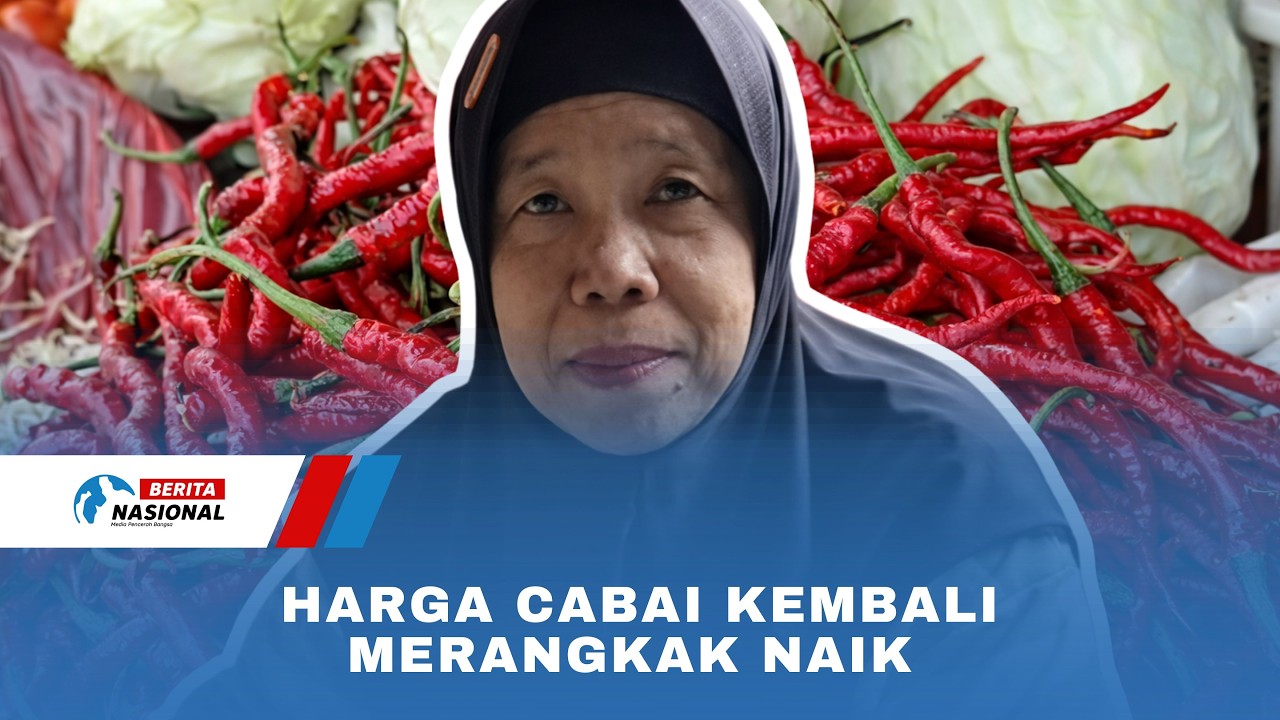 Harga Cabai Kembali Merangkak Naik Akibat Minimnya Pasokan Dari Petani