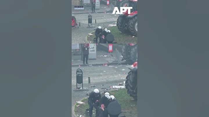 Police Detain Bloodied Protester as Farmers Rally in Brussels Against EU Farm Policy | APT