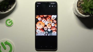 How to Find Downloaded Files on Oppo A38? Where are Download Folders & APK / Document / PDF Files?