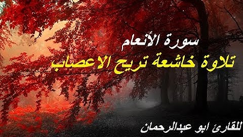 ايات من سورة الأنعام | تلاوة خاشعة بصوت جميل | القارئ ابو عبد الرحمان
