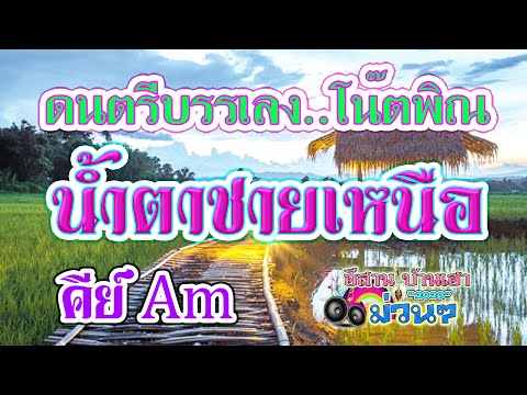น้ำตาชายเหนือ ดนตรีบรรเลง โน๊ตพิณ คีย์ Am