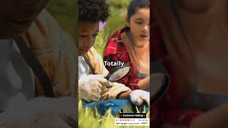 🌽 Best Educational Toy for Toddlers? Mini Farmstand Sorting Set! 🧺✨