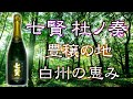 【究極のスパークリングサケ】七賢杜ノ奏（もりのかなで）をレビュー！【日本酒】