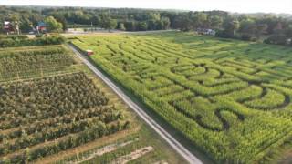 Robinette's Corn Maze Copyright 2016 Peanuts