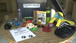 Make Sure Your Pets Are Ready For Disasters