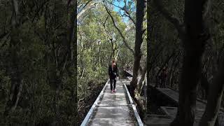 Rhodes - Olympic Park - Wentworth Point