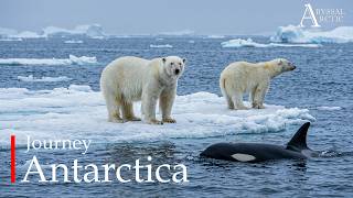 Journey Antarctica | Inside Earth’s Most Extreme Frozen World