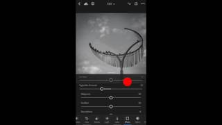 Applying Edits to Multiple Photos | Adobe Lightroom screenshot 2