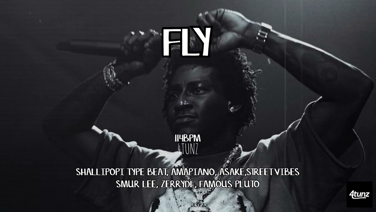 Shallipopi x Asake Type Beat – “FLY” | Amapiano x Street Vibes | 114 BPM