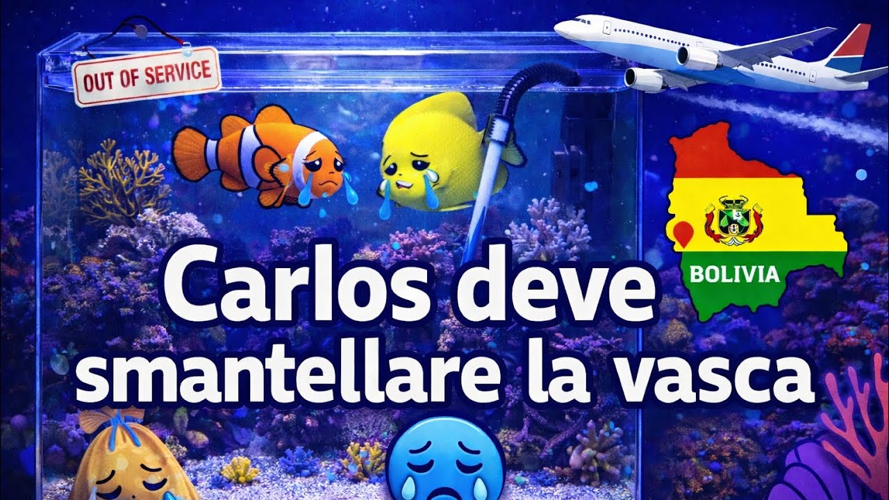 Carlos Deve Smantellare il Suo Acquario Marino… Ultimo Giorno Prima dell’Addio 😭🐠. 