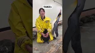 【NG集】完璧な告知動画を撮るはずが… #アドベンチャーワールド