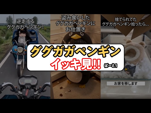 Binge Watch] A compilation of cute Gugugaga penguin videos - YouTube