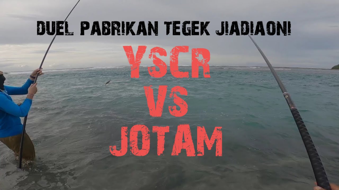 MANCING BARONANG ‼️ DUEL PABRIKAN JIADIAONI YSCR VS JIADIAONI HITAM ‼️