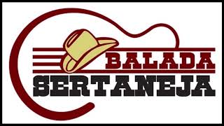 Cesar Menotti e Fabiano Leilao