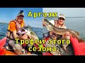 Аргази. Ребус с приманками разгадан. Троллинг в один спиннинг.