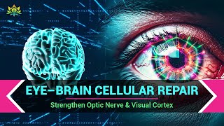 Eye–Brain Cellular Repair - Heal Eyes, Sharpen Vision - Strengthen Optic Nerve & Visual Cortex