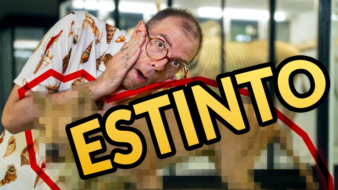 Ho visitato un museo con più di 5 MILIONI DI ESEMPLARI