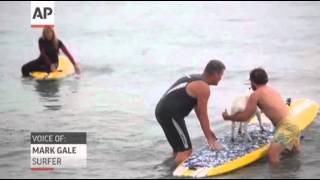 Calif. Man Takes His Pet Goats Surfing