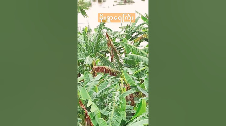 မိုးရွာတော့ရေကြီး#tiktok #top #tech #lifeisbutadream #shortvideo #new