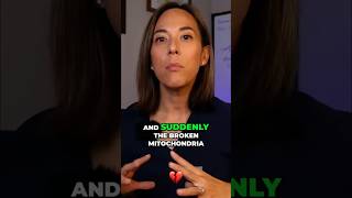 Dysfunctional Mitochondria Have to Be Cleared Out