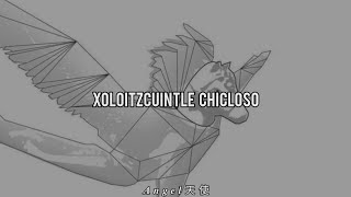 Xoloitzcuintle Chicloso - Porter // Subtitulado.