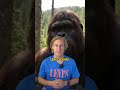 Nem fizet többé a YouTube az AI tartalmakért