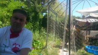 Celebrity Fortunes of War by Olivia Manning Profile