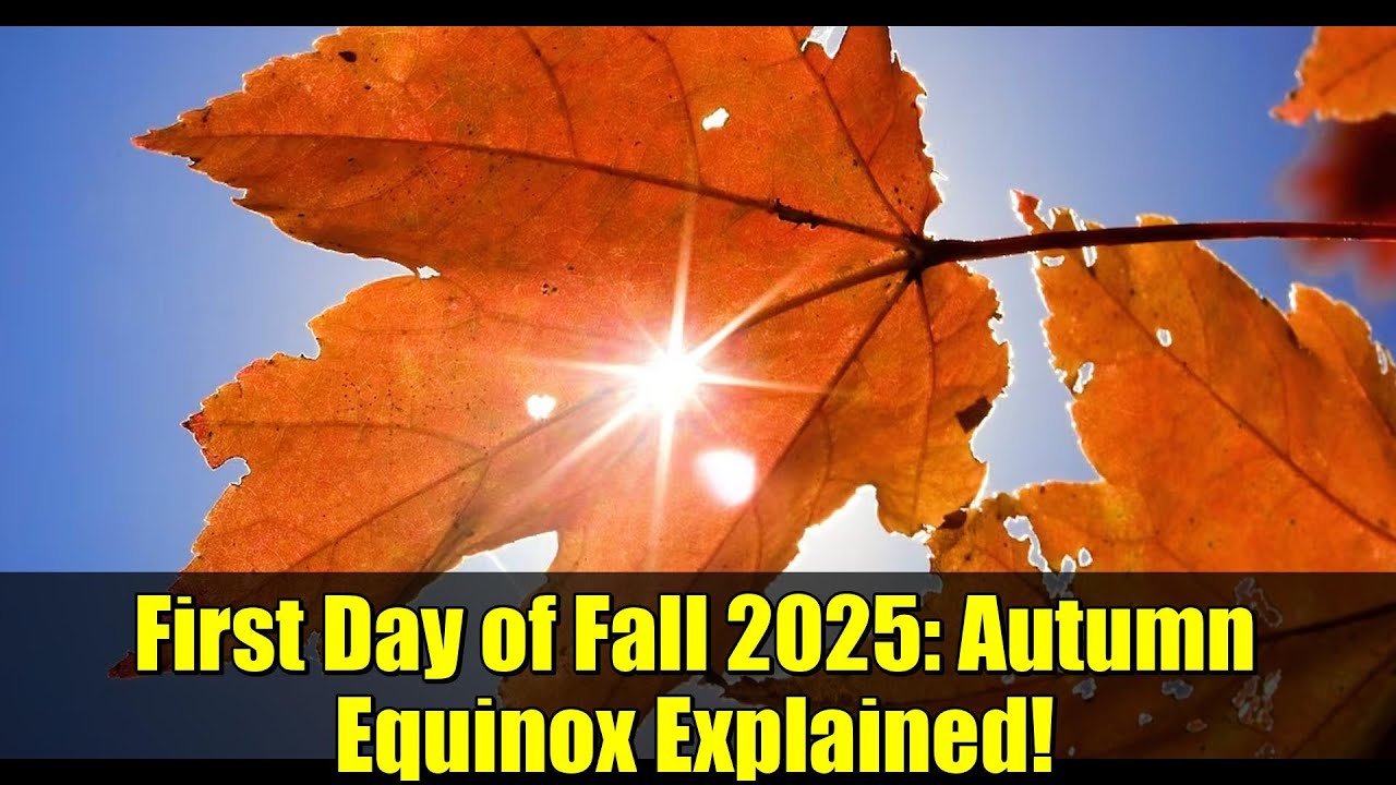 Первый день осени 2025 года: объяснение осеннего равноденствия!