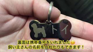 コスパ最強✨大満足の商品紹介