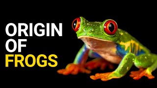 Leap Back in Time: Unraveling the Mysteries of Frog Origins 🐸 | Evolutionary Chronicles