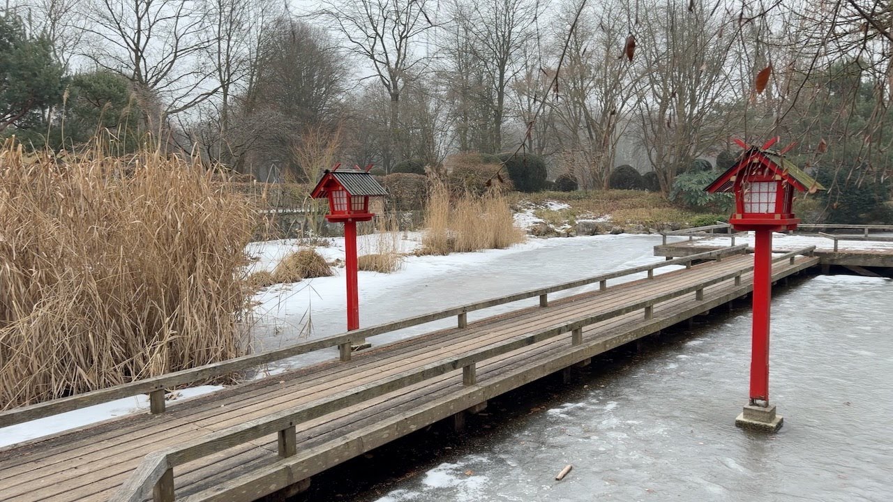 Impressionen Eisiger Westpark heute früh