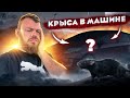 Мы Купили БИО Зараженную Машину С Аукциона @3BRO