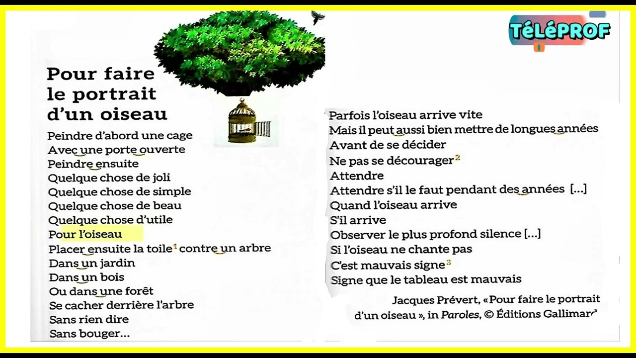 Pour faire le portrait d’un oiseau|Page 185|Mes apprentissages en