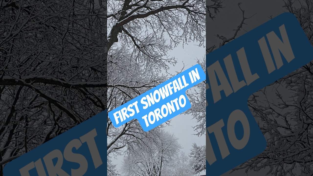December 10, 2025 First snowfall in Toronto, Canada, a lovely day 