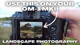 OM System OM1 MKII Function That Nobody Uses. Landscape Photography