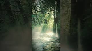 Tú Cerebro necesitaba estoy Hoy.#SleepAtmosphere#NatureEscape#AmbientWorld#CalmVisuals#NightAmbience