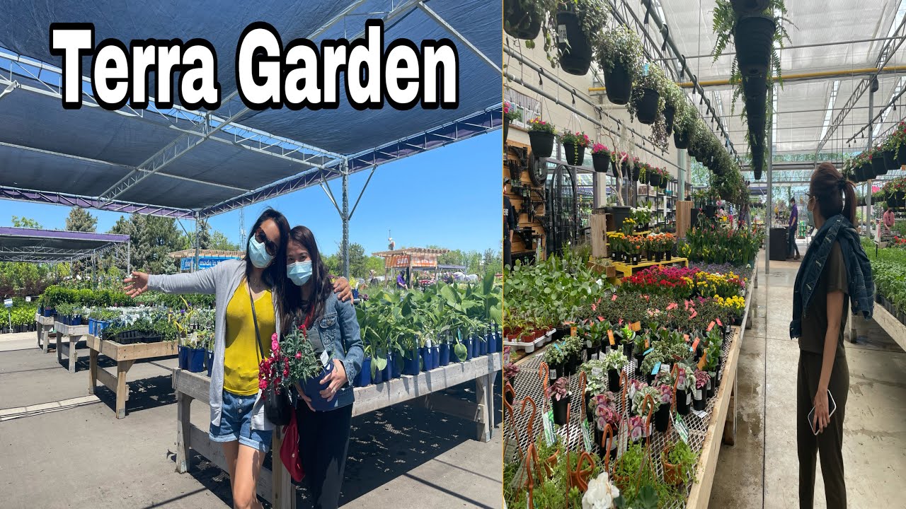 Nursery plant shopping Terra Garden YouTube