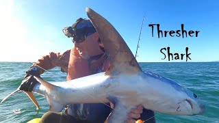 High Adrenalin Kayak Fishing in New Zealand. by Clay Tall Stories 14,608 views 11 months ago 9 minutes, 34 seconds