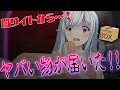 【都市伝説】ダークウェブで買ったものがやばすぎるwww