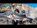 Summer Holiday Bass Fishing In Portugal -Pt 1- How to catch bass on lures- keep your marriage intact