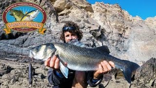Summer Holiday Bass Fishing In Portugal -Pt 1- How to catch bass on lures- keep your marriage intact
