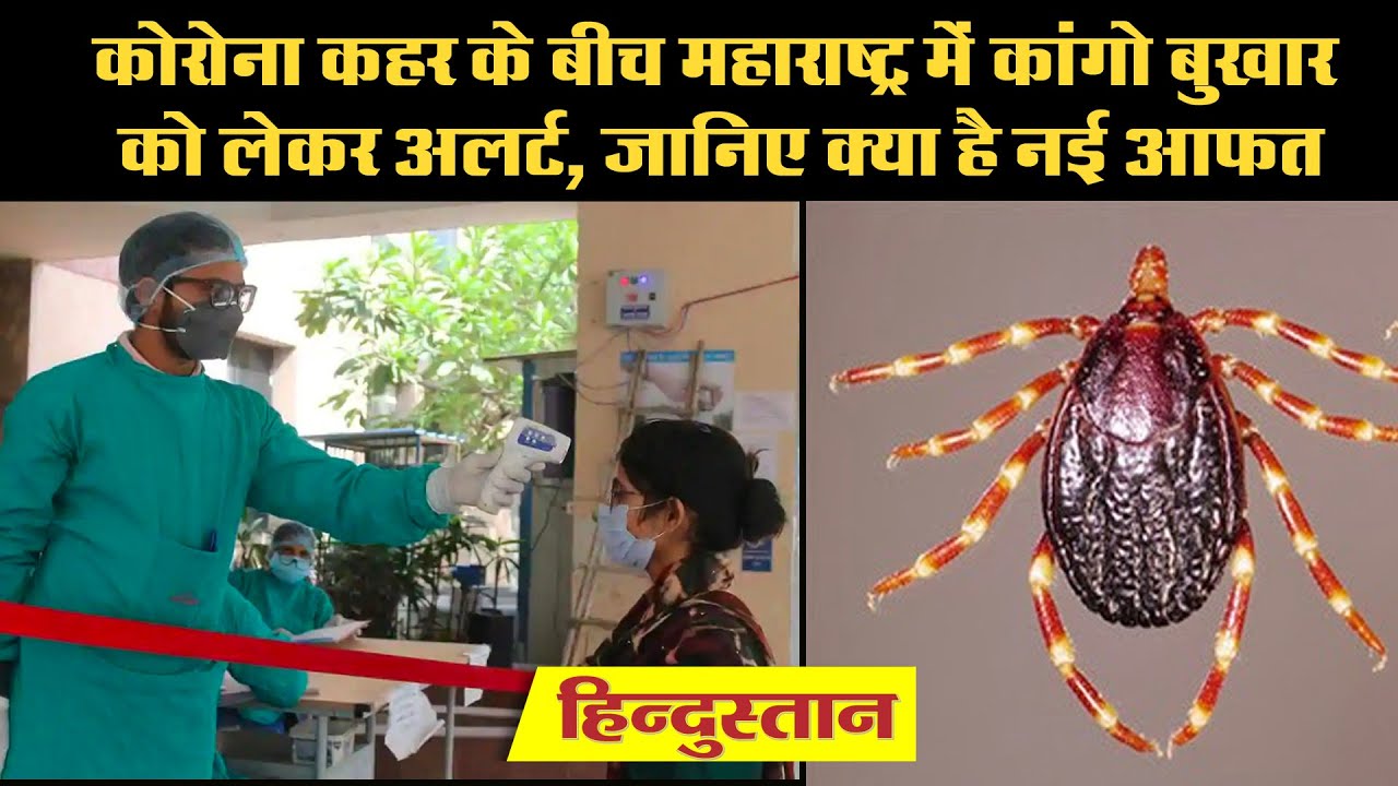 ⁣Coronavirus Update: कोरोना कहर के बीच महाराष्ट्र में Congo Fever को लेकर अलर्ट, जानिए क्या है नई आफत