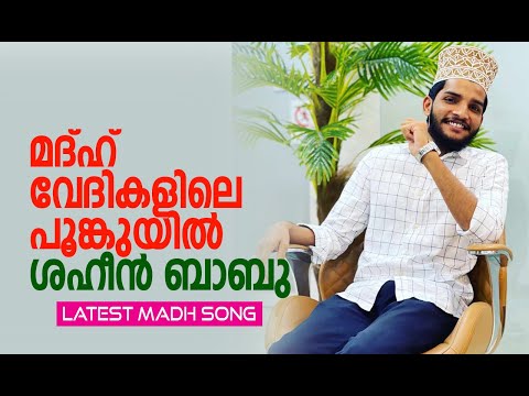 Shahin Babu Tanur among the leading singers | A voice everyone wants to hear | Song | HD