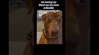 My friend saying the worst racial slur #funny