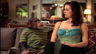 My Infamous Super Bowl Horny Talking Monkey Commercial