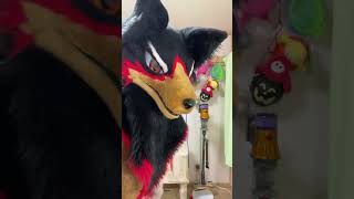 【獣化/fursuit#99】99回目の水曜のもふもふタイム🐾【ジュージュー】#fursuit #獣化 #shorts
