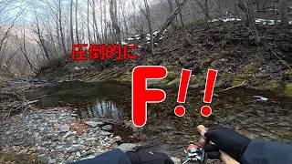 低活性時の切り札はFだった【渓流】